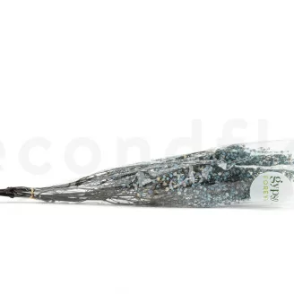 Preserved Gypsophila Sky Blue