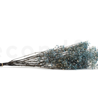 Gypsophila Stabilizzata - Blu