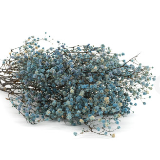 Gypsophila Stabilized - Blue