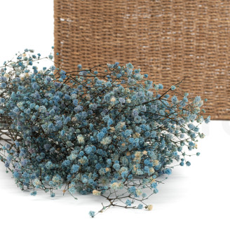 Schleierkraut Stabilisiert - Blau