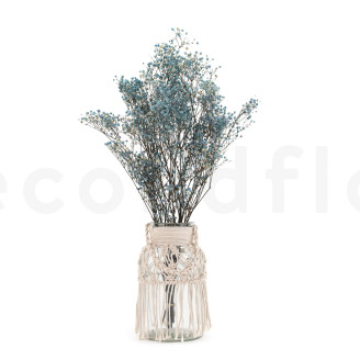 Gipsofila Preservada - Azul