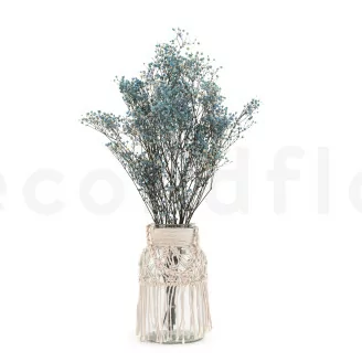 Preserved Gypsophila Sky Blue