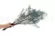 Preserved Gypsophila Sky Blue 5