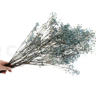 Preserved Gypsophila Sky Blue