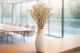 Preserved Gypsophila Natural 1