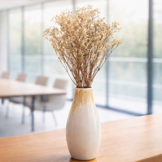 Gypsophila Stabilizzata - Naturale
