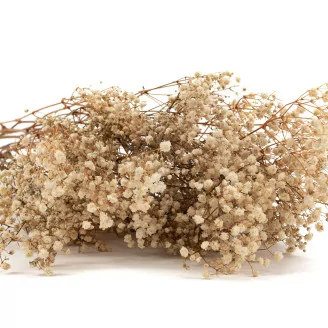 Gipsofila Stabilizzata - Naturale
