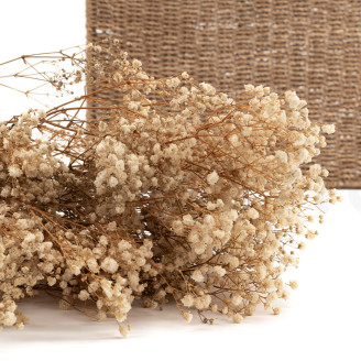 Gypsophila Preservata - Naturale