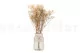 Gypsophile stabilis&eacute; Naturel 3