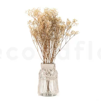 Gipsofila Stabilizzata - Naturale