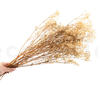 Gypsophila Preservata - Naturale