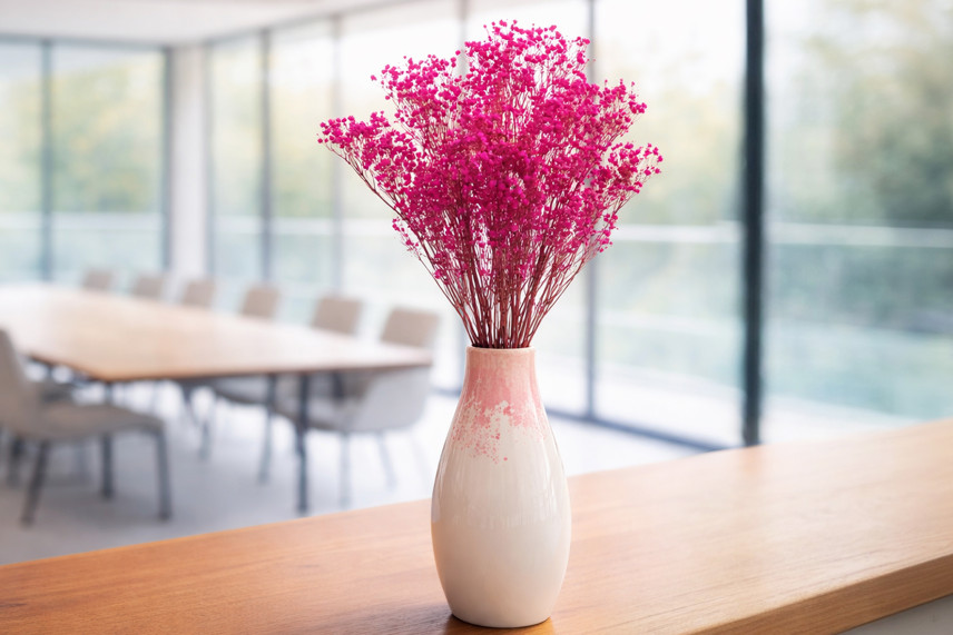 Gypsophila Preservata - Hot Pink