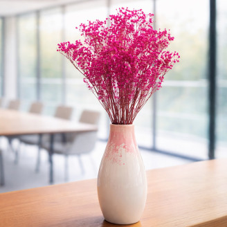 Gypsophila Preservata - Hot Pink