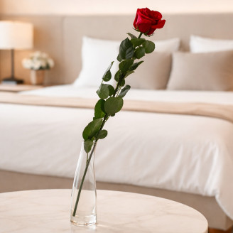 Roses sur tige stabilis&eacute;es vrac 50cm - 30 Unit&eacute;s - Rouge