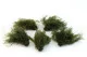 Preserved Air Fern Nature Green (Creabox S) 2