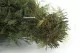 Konservierter Air Fern Nature Green (Creabox S) 11