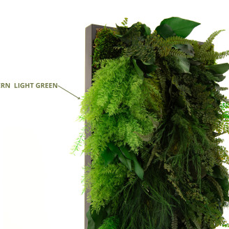 Air Fern preservado - Creabox S - Nature Green