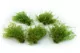 Preserved Air Fern Light Green (Creabox S) 2