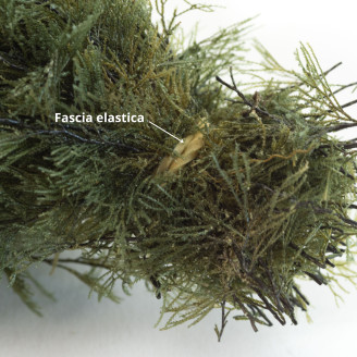 Air Fern Preserved - Creabox M - Nature Green