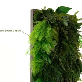 Air Fern stabilizzato Light Green (Creabox M)