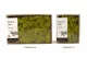 Liquen preservado Lime Green (Creabox M) 8