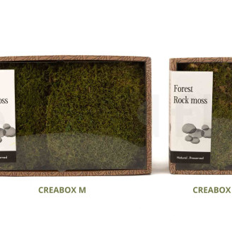 Mousse de Roche Stabilis&eacute;e - Creabox S - Vert 