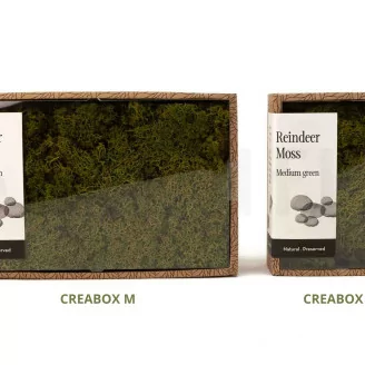 Lichen stabilis&eacute; Medium Green (Creabox S)
