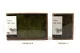 Preserved Hair Moss (Creabox M) 8