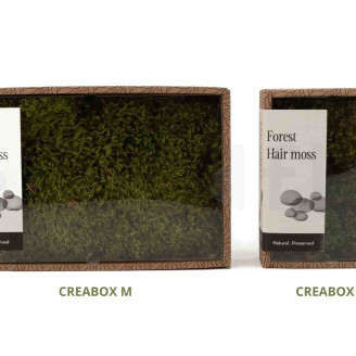Hair Moss preservato - Creabox M - Light Green