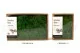 Preserved Reindeer Moss Nature Green (Creabox S) 10