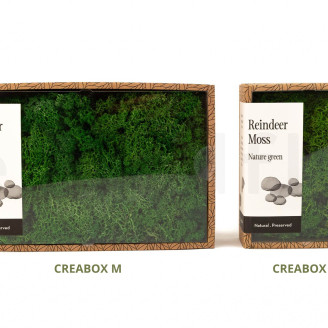 Lichene preservato - Creabox M - Nature Green