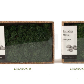 Islandmoos konserviert - Creabox S - Forest Green