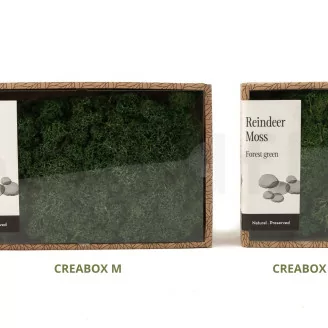 Lichen stabilis&eacute; Forest Green (Creabox S)