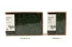 Preserved Reindeer Moss Forest Green (Creabox M) 8