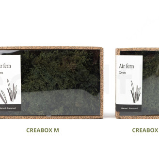 Air Fern preservado - Creabox S - Nature Green