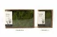 Air Fern preservado Light Green (Creabox M) 11