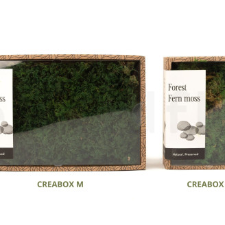 Muschio di felce preservato - Creabox M - Verde