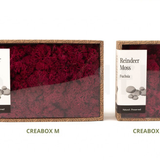 Lichene preservato - Creabox M - Fuchsia