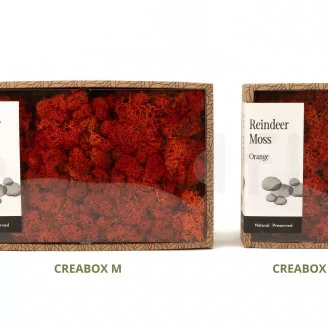 Lichen stabilis&eacute; Orange (Creabox S)