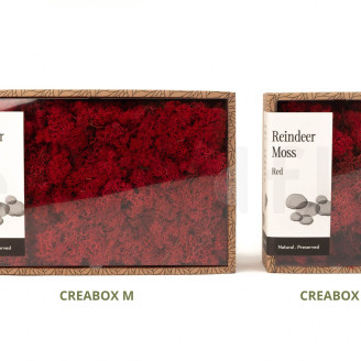 Preserved Reindeer Moss - Creabox S - Red