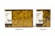 Preserved Reindeer Moss Yellow (Creabox M) 8