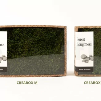 Mousse Longue stabilis&eacute;e (Creabox M)