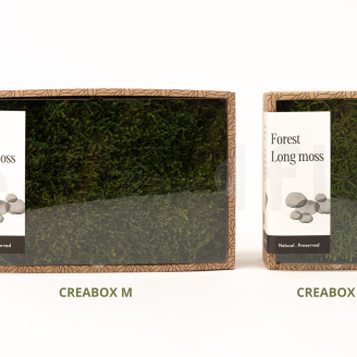 Muschio lungo preservato - Creabox M - Verde