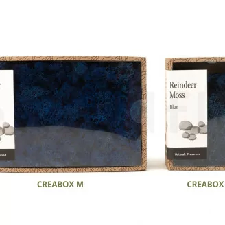 Lichen stabilis&eacute; Bleu (Creabox S)