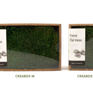 Flat Moss Preserved - Creabox S - Green
