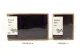 Konserviertes Islandmoos Violett (Creabox S) 10