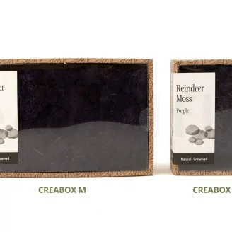 Lichen stabilis&eacute; Violet (Creabox M)