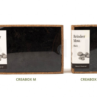 Lichene preservato - Creabox S - Nero