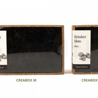Lichen stabilis&eacute; Noir (Creabox M)