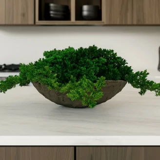 Juniperus preservado